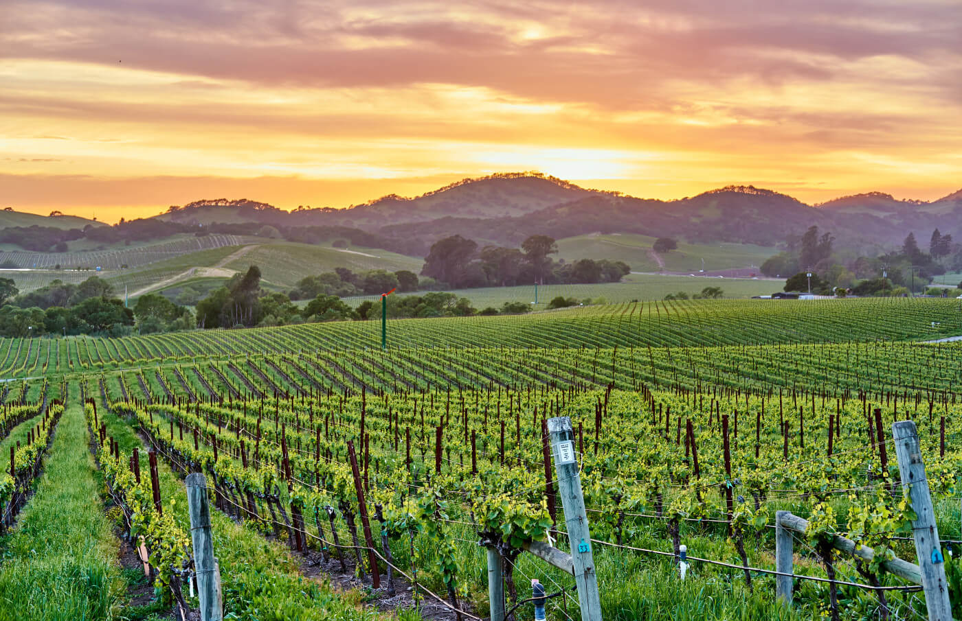 Learn about Napa Valley - California's Famous Wine Region