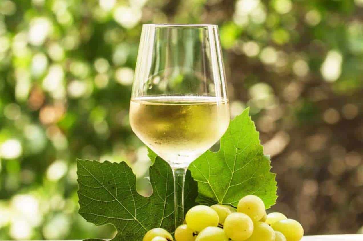 top-5-white-wine-blends-for-2023