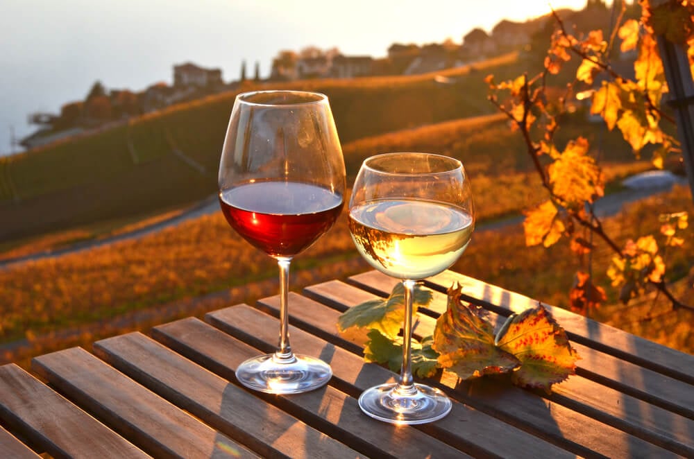 5 Best Fall Wines for 2023