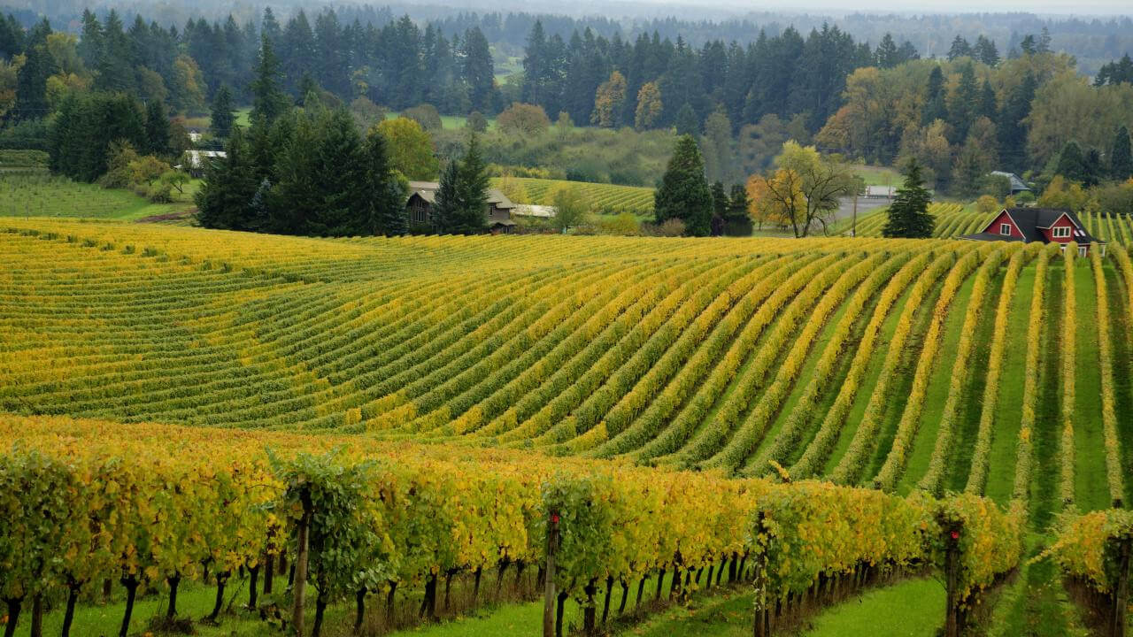 Willamette Valley Region Wines