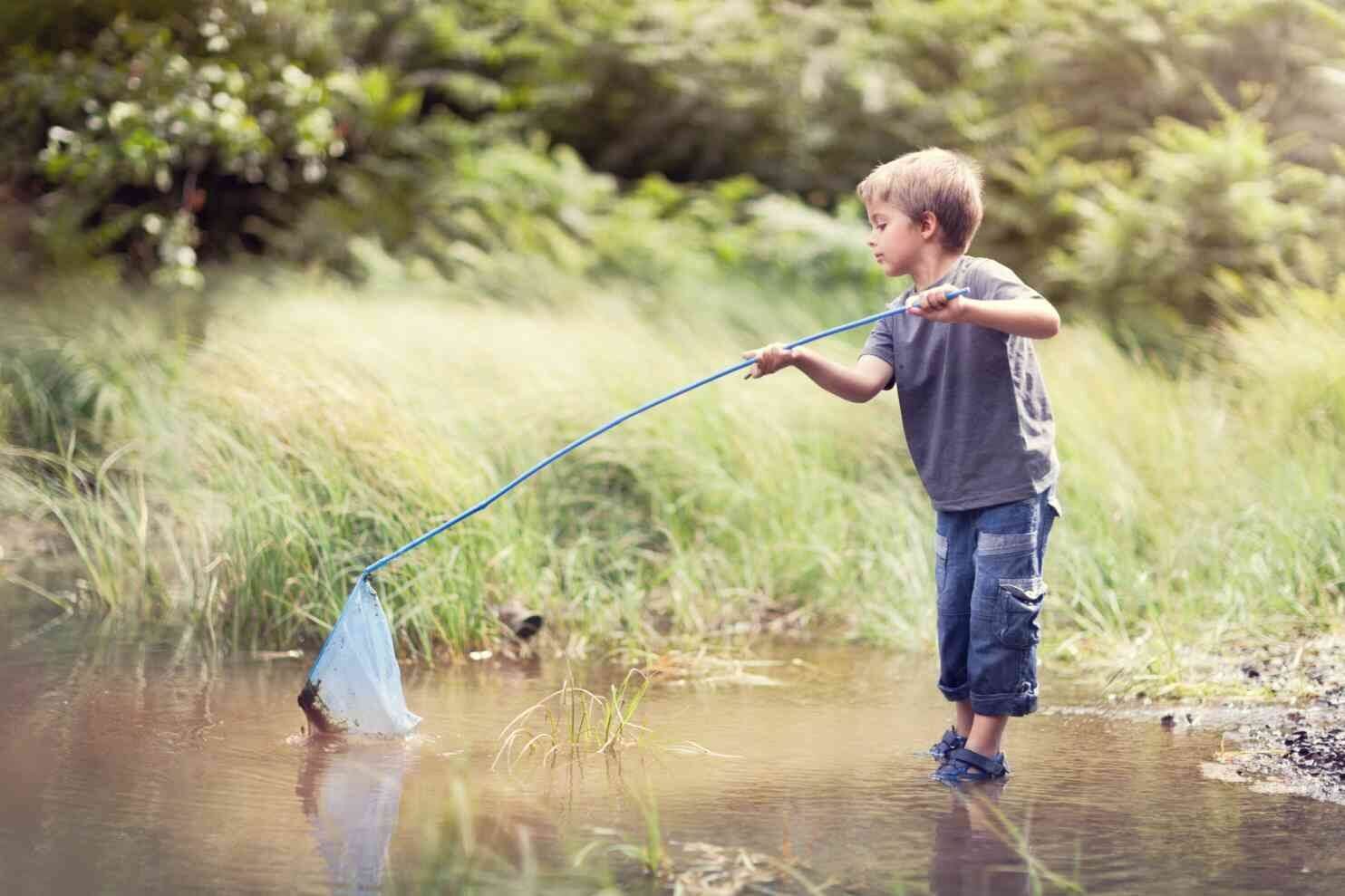 Young boy using a net to catch fish.