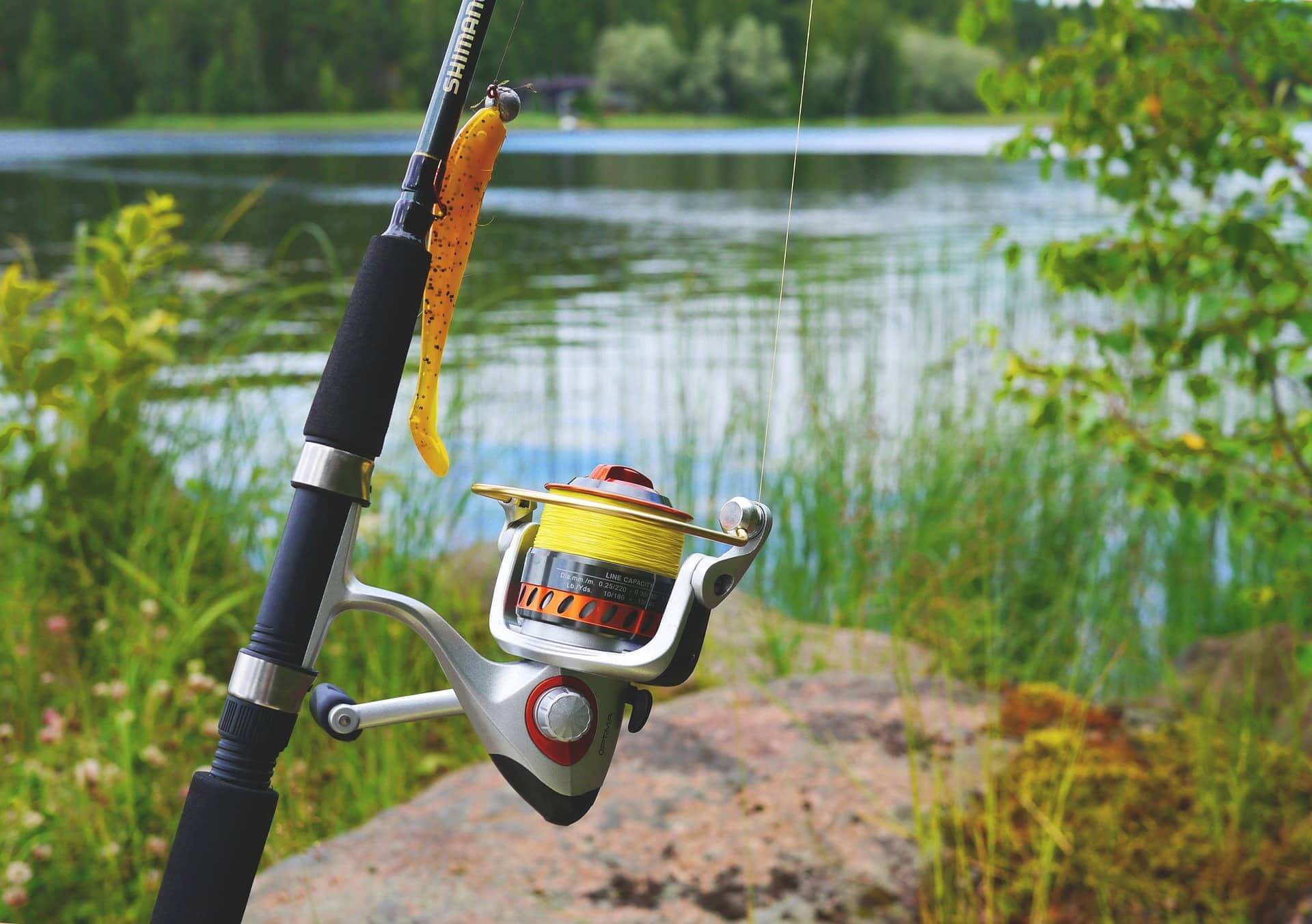 Goture Fishing Rod and Reel Combo 2019 [Updated] Review