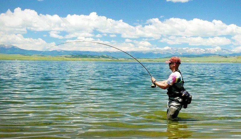 Order the best fishing line for trout at The Good Catch