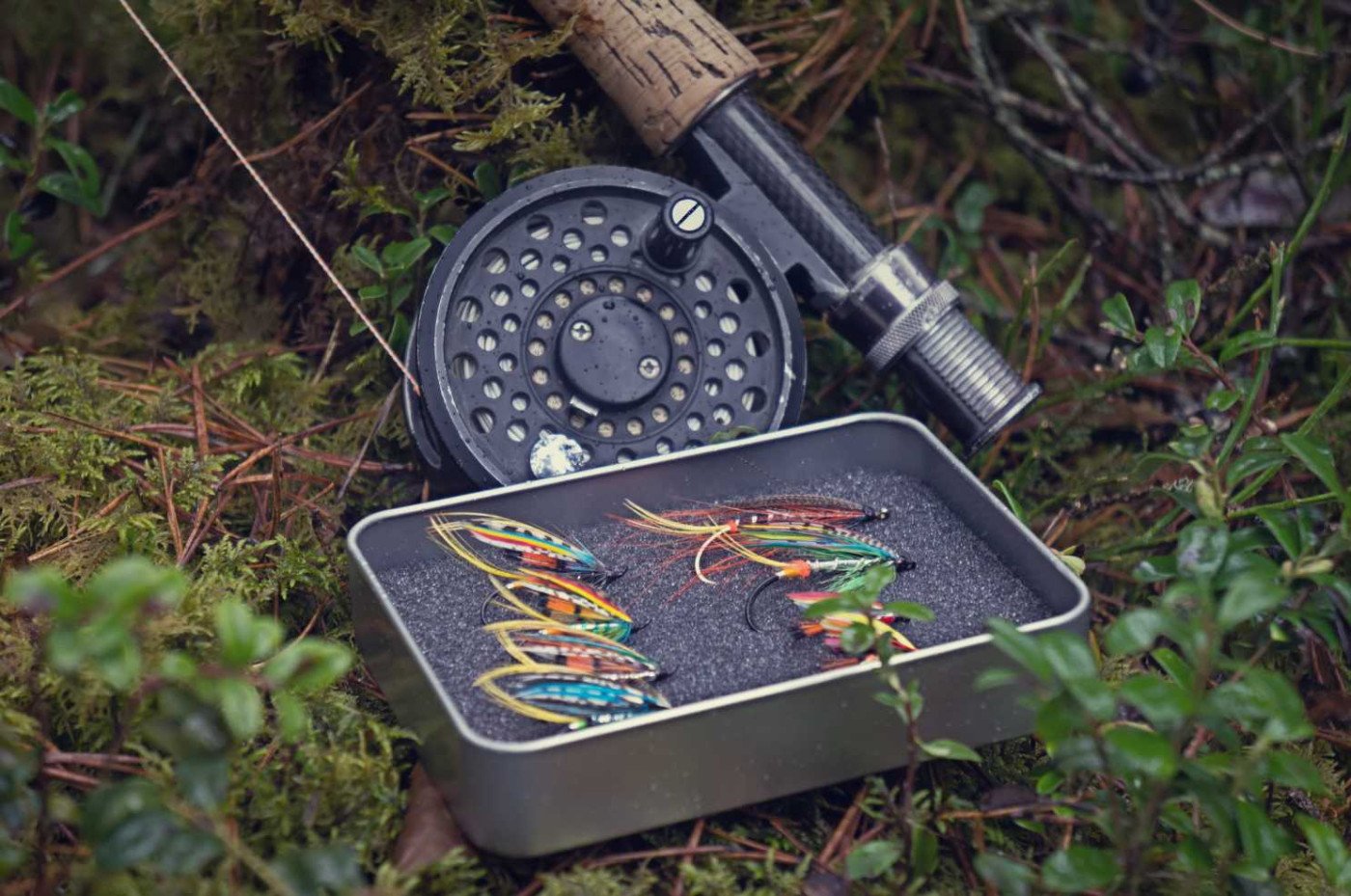 Lure Fishing For Salmon? Use These Salmon Fishing Lures For The Best Result