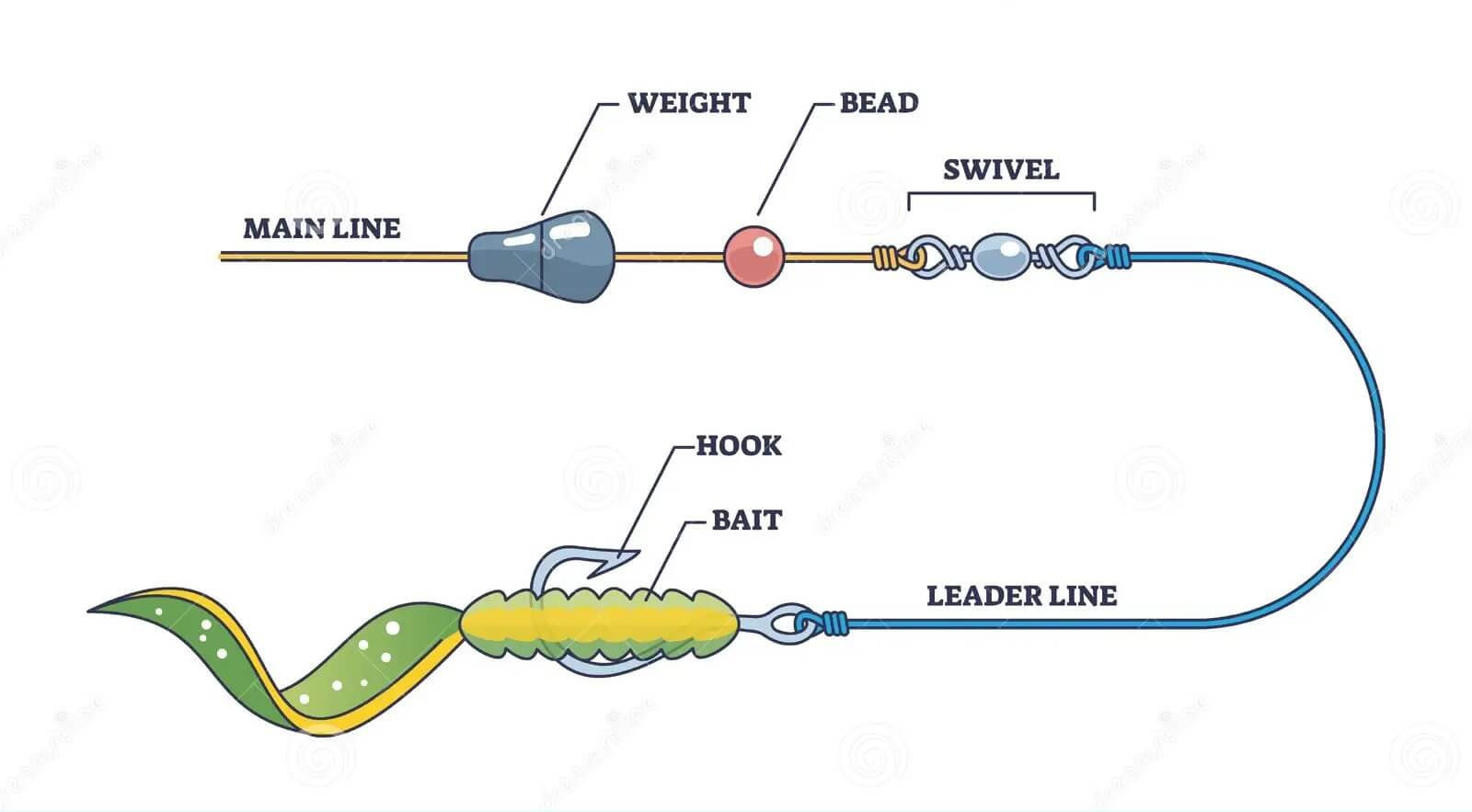 Diagram showing the components of a Carolina Rig setup, including the main line, weight, bead, swivel, leader line, hook, and bait.