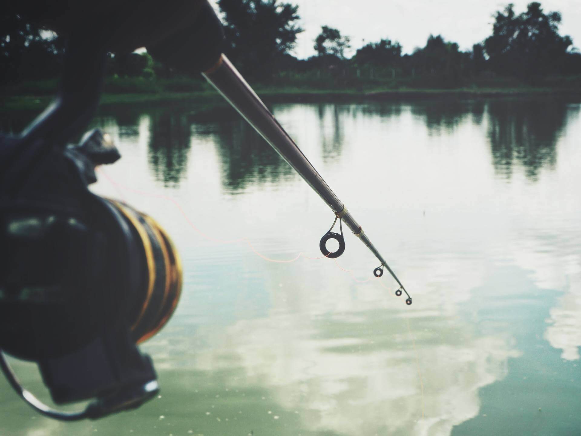 Fishing rod held over a serene body of water, capturing a quiet fishing scene.