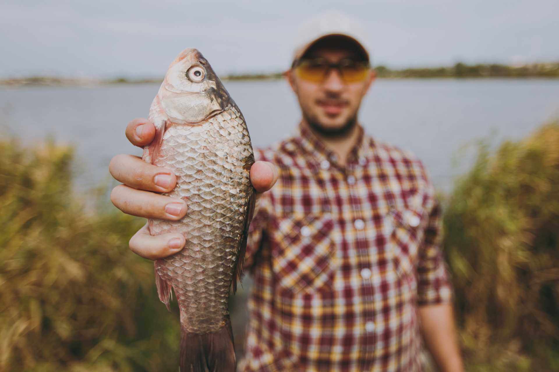A fisherman proudly holding up a string of freshly caught fish by a lakeside, capturing the satisfaction of preserving a fresh catch.