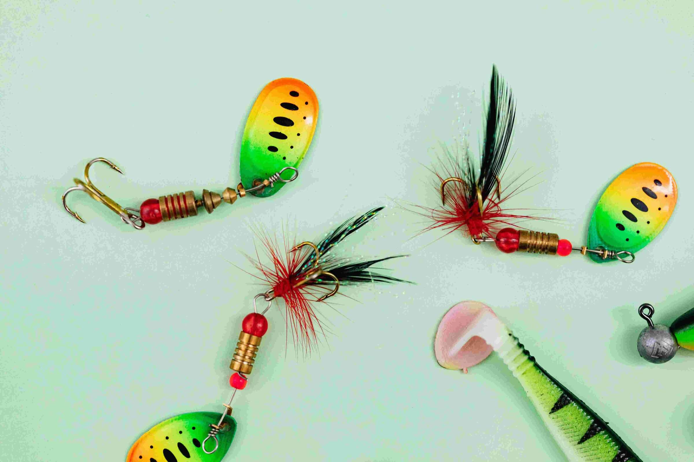 Different types of spinnerbaits and fishing lures to master spinnerbait use for successful fishing