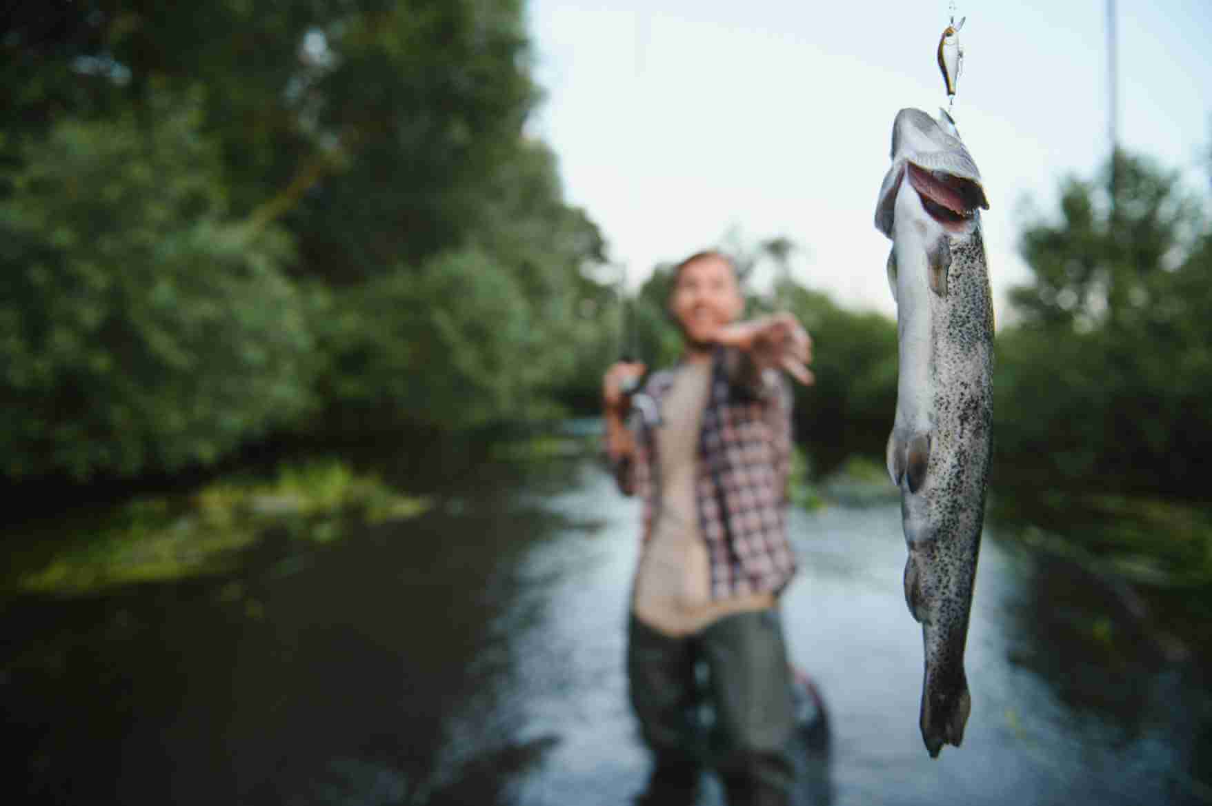 Man fishing in a river, holding a trout suspended from a fishing line.