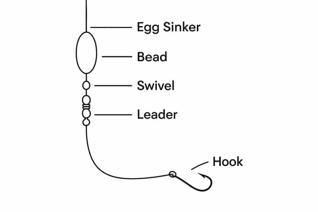 Carolina rig diagram with egg sinker above swivel, short leader, and hook for catching bottom-feeding fish from a pier.