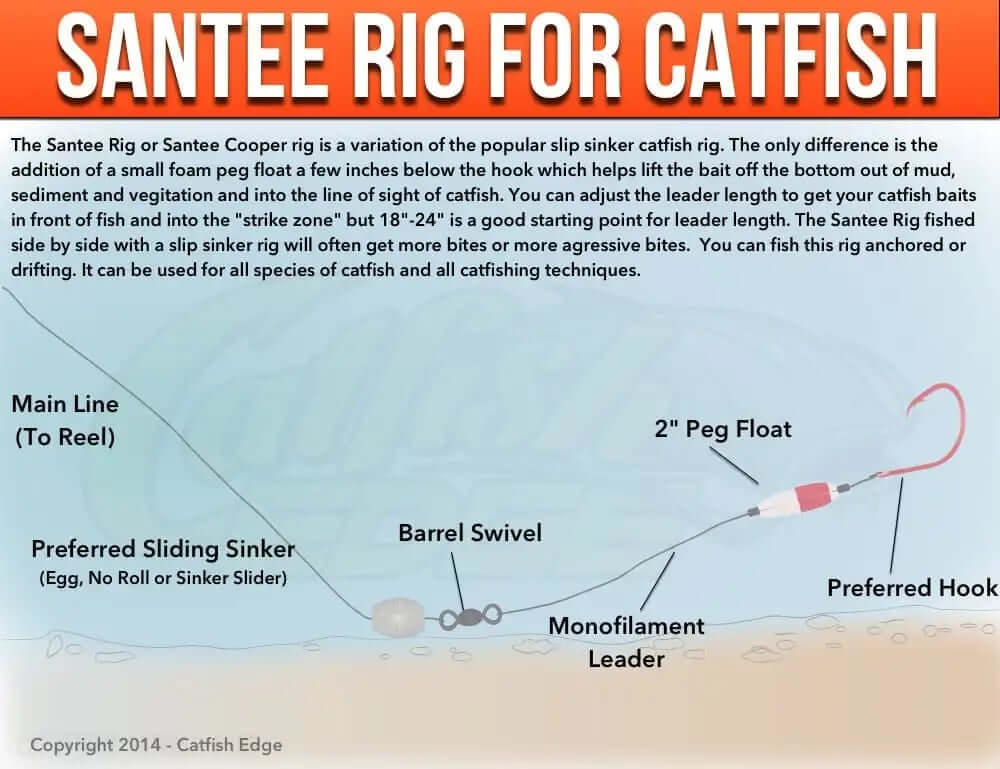 Catfish Edge. (n.d.). Santee Cooper rig for catfish. Catfish Edge. https://www.catfishedge.com/santee-cooper-rig/