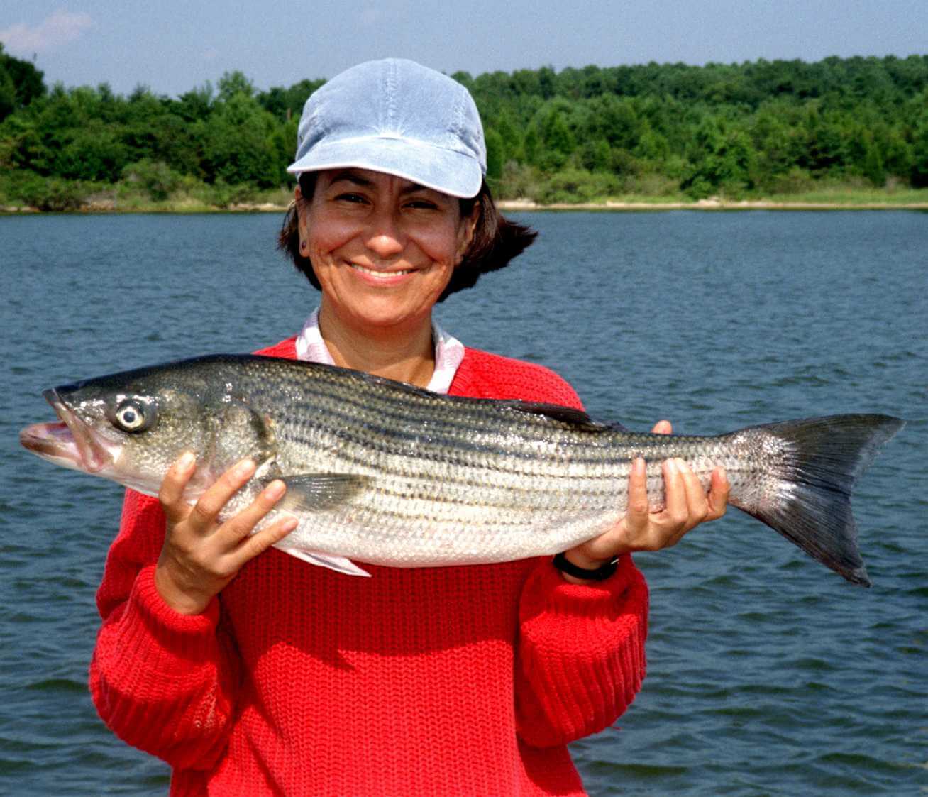 Angler holding a large striped bass caught in the boat. 