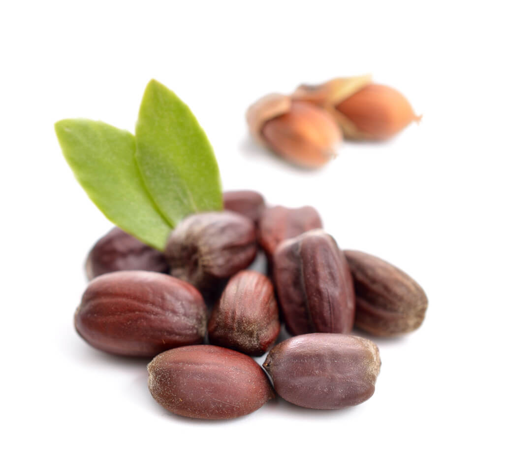 Benefits of Jojoba Oil for Skin