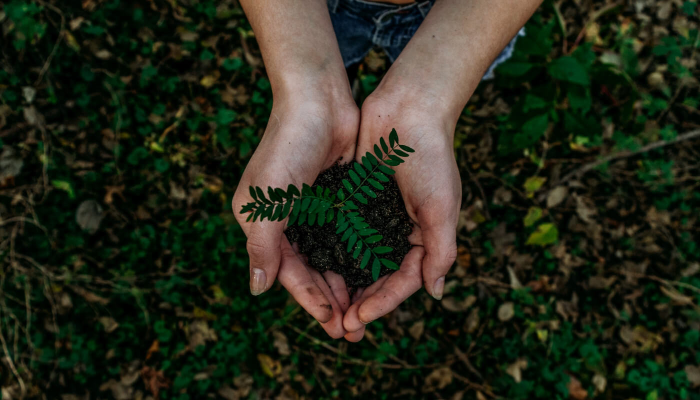 Eco-Conscious Cookware: Making Mindful Choices