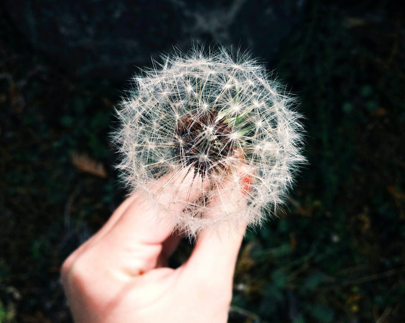 Frühlingserwachen &  die Allergie: Der Darm im Dauereinsatz