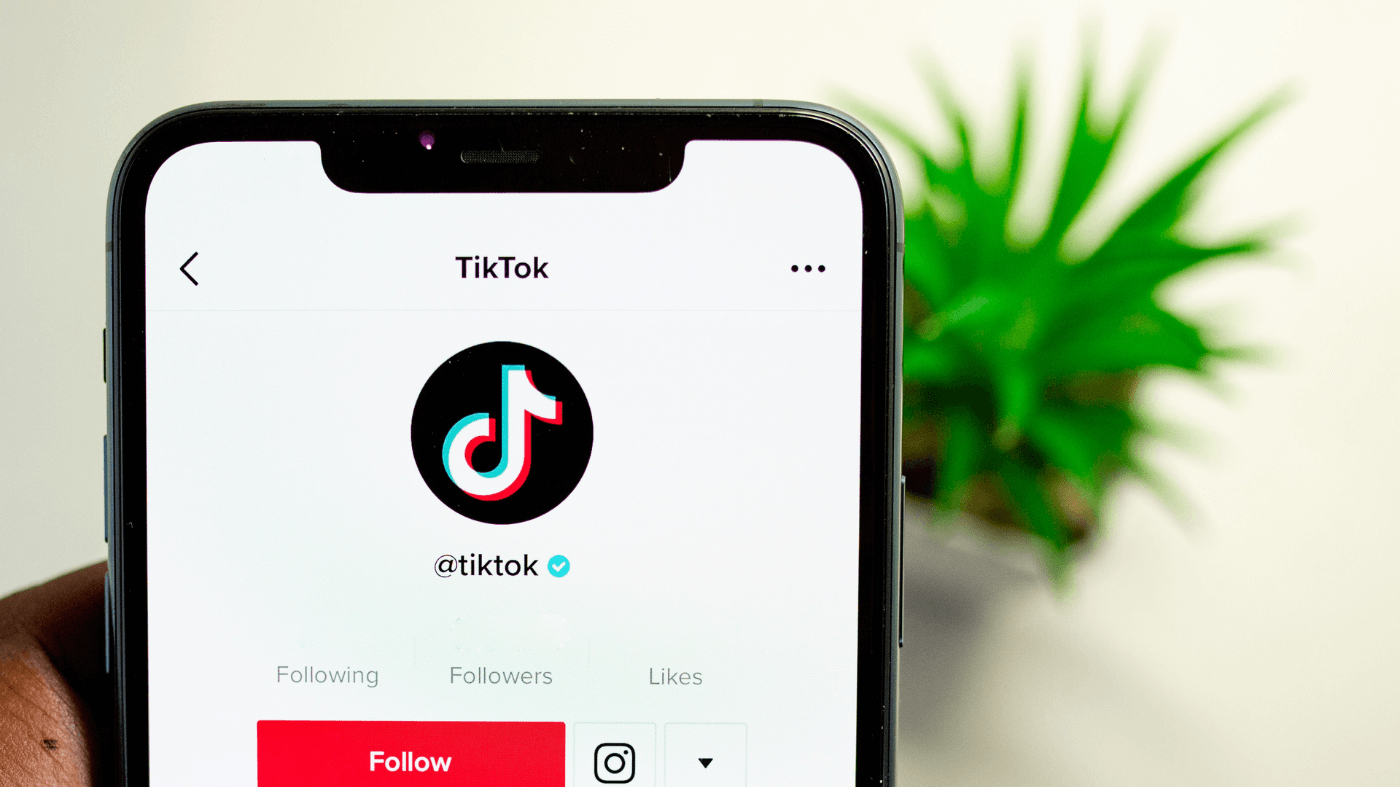 Music Industry Guide to TikTok