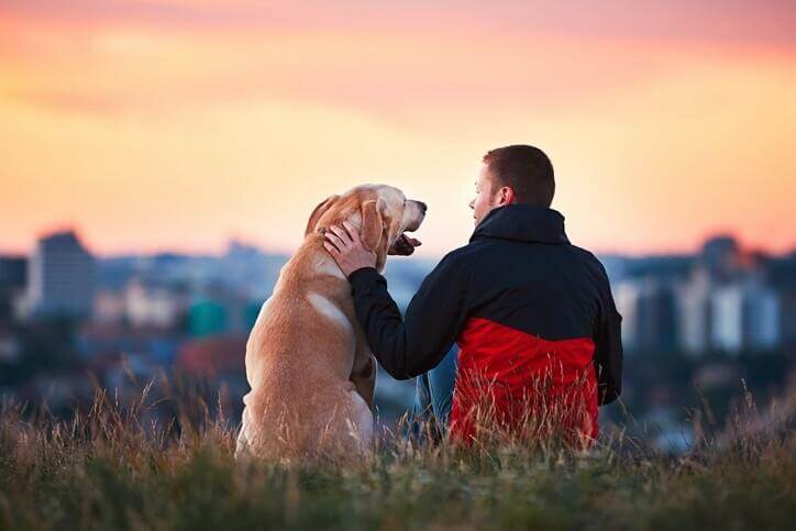 Aufgeregte Hunde - 4 Tipps zur Hundeberuhigung