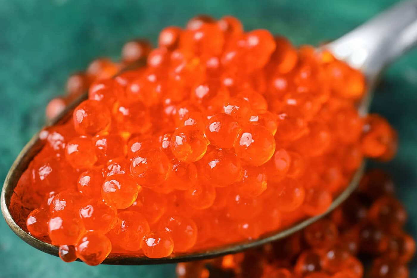 Salmon vs. Salmon Eggs 🔥 Which do you prefer? 🤔 — Salmon and salmon roe  are delicious and powerfully healthy especially for your