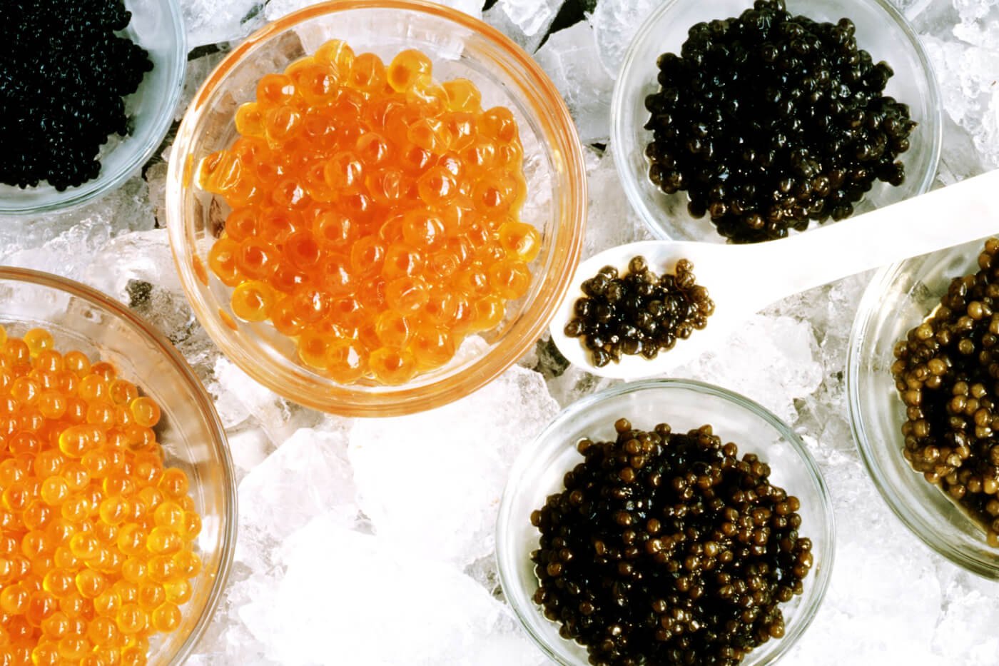 Where Does Caviar Come From? Everything You Need to Know Caviar Skazka