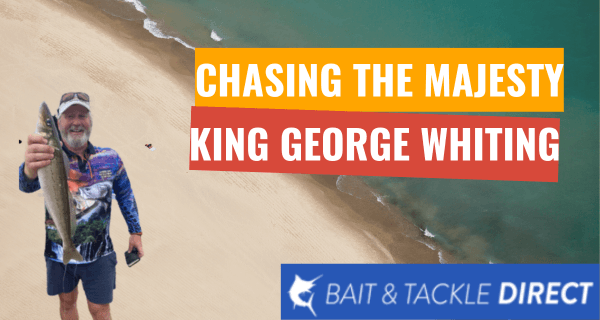 Chasing the Majesty: King George Whiting Adventures in Australia