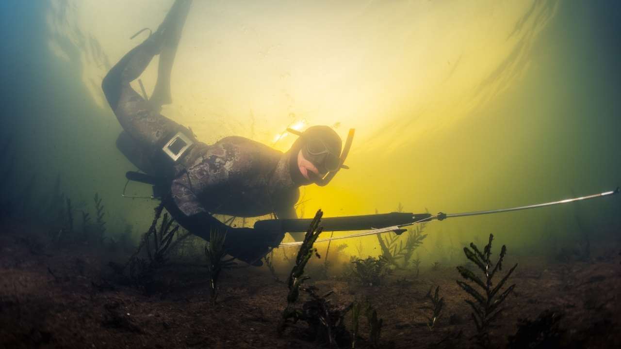 Spearfishing Basics