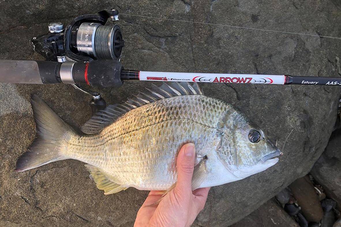 Bream Fishing 101