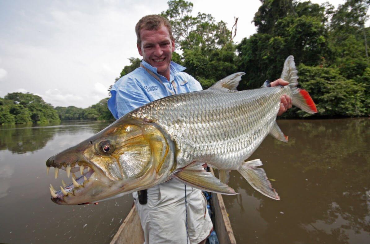 Tigerfish: Africa's baddest fish