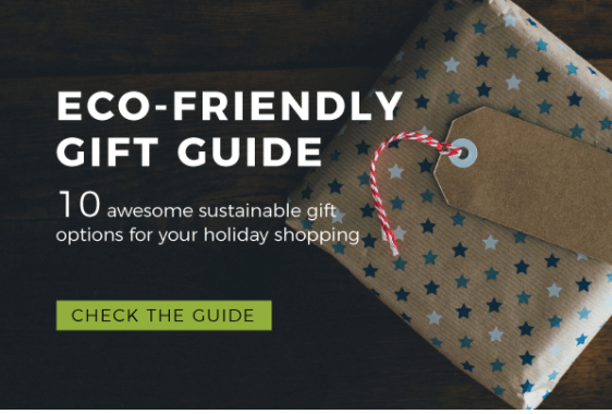 Eco-Friendly Gift Guide