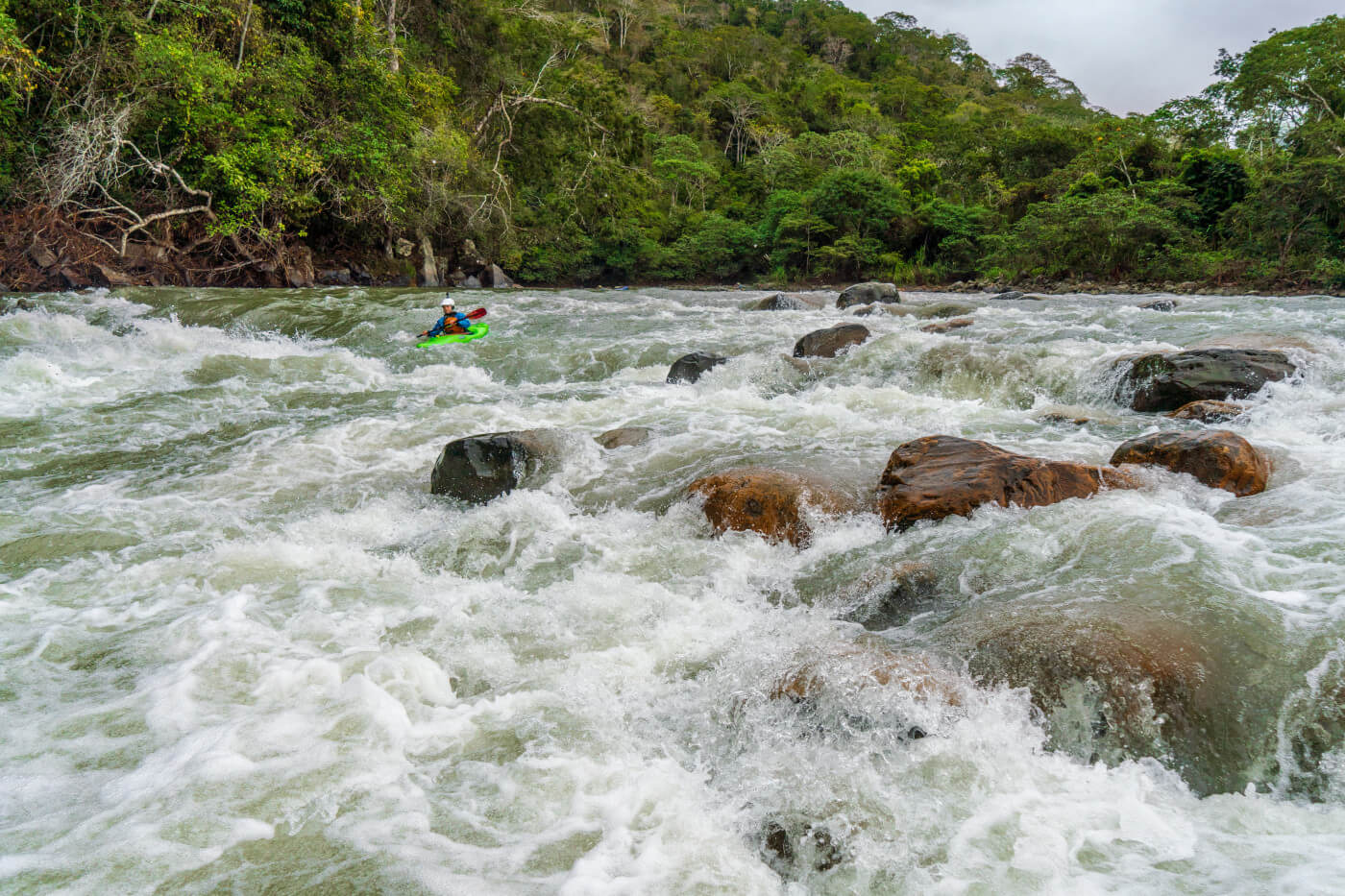 Recover In The Wild - A view from another lens.