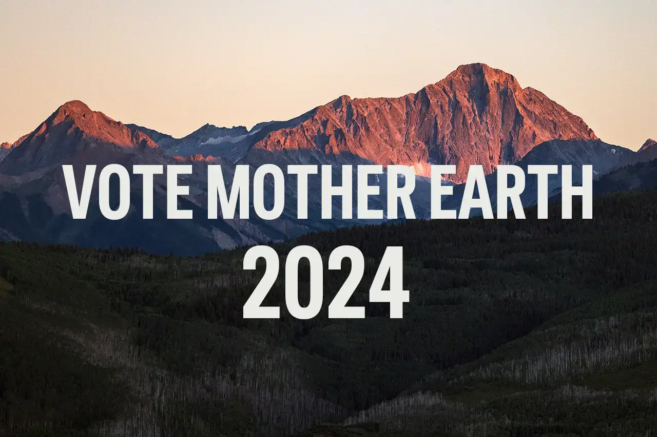 Tips to Support the Planet This Election Season