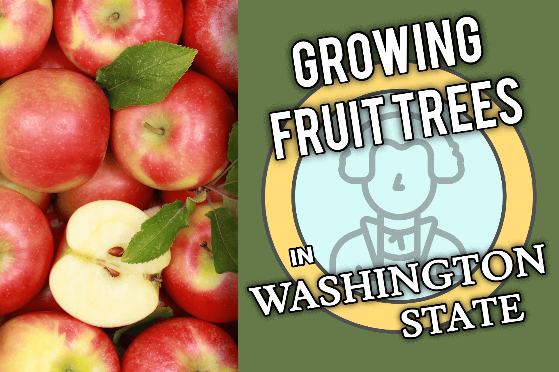 Washington: Fruit Trees You Can Grow