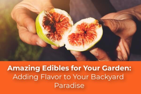 Amazing Edibles for Your Garden