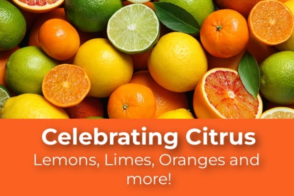 Celebrating Citrus: Lemons, Limes, Oranges and More!