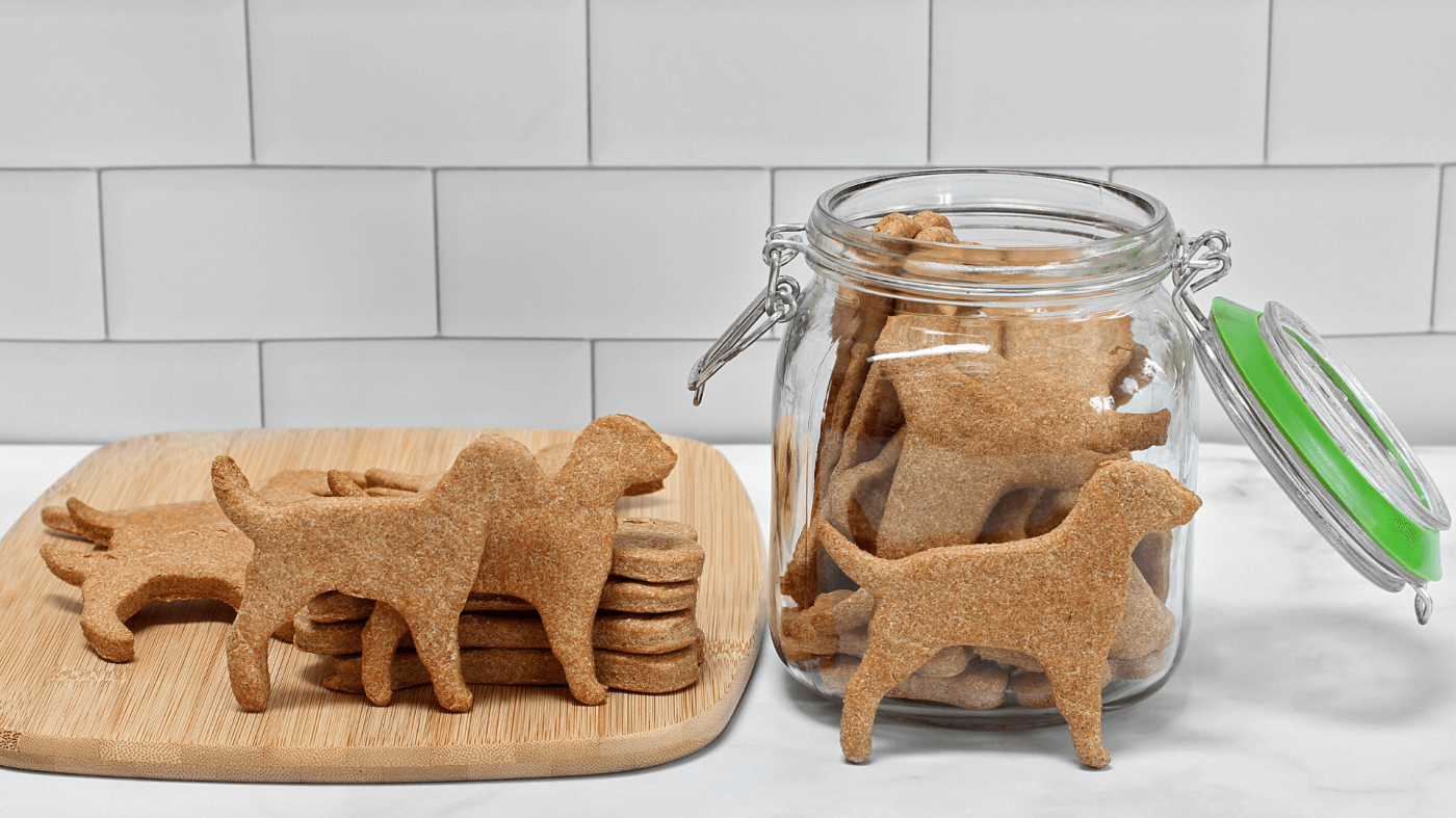 Easy Homemade Dog Treat Recipes: 10 Healthy Treats Pups Love