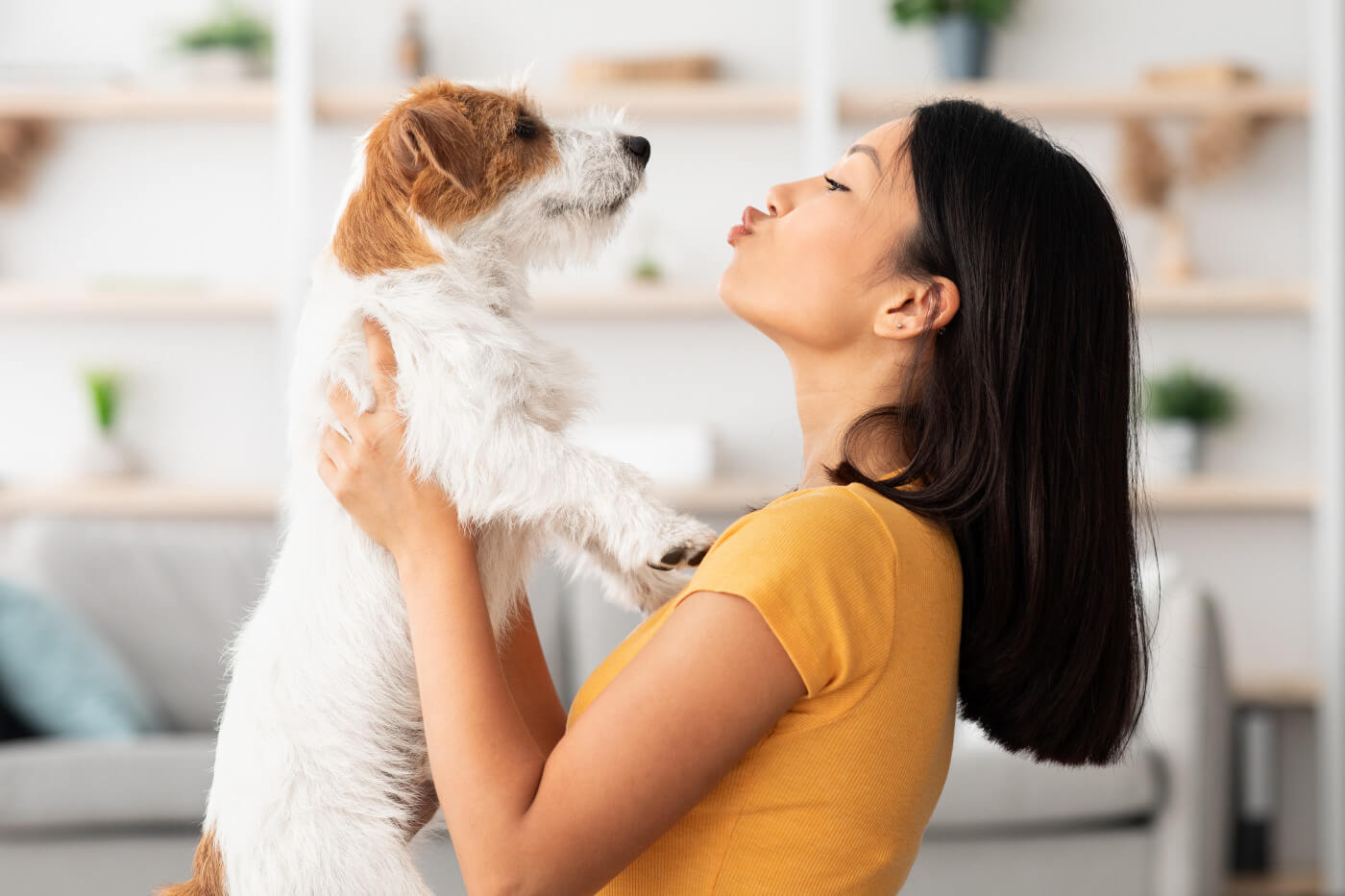 Why Are Dogs So Loyal and Loving Towards Humans?