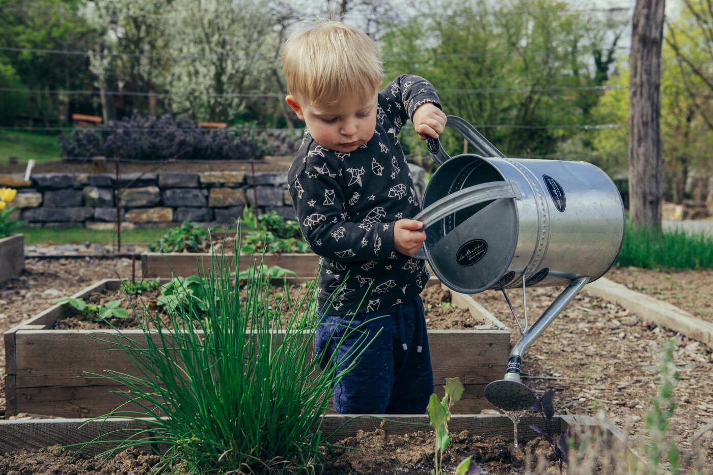 10 Ways To Be An Eco Friendly Gardener