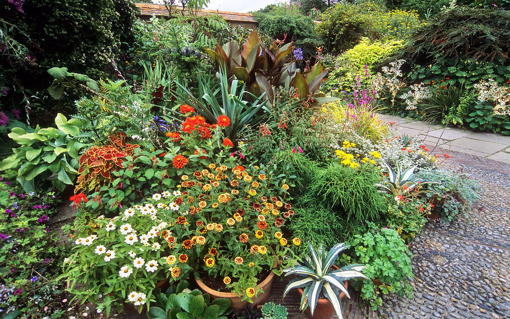 10 Top Tips For An Easy Eco-Friendly Garden