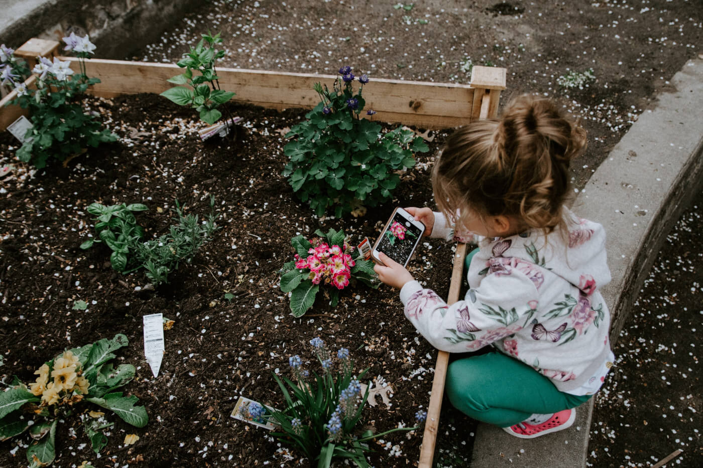 10 Ways To Get Kids Excited About Gardening