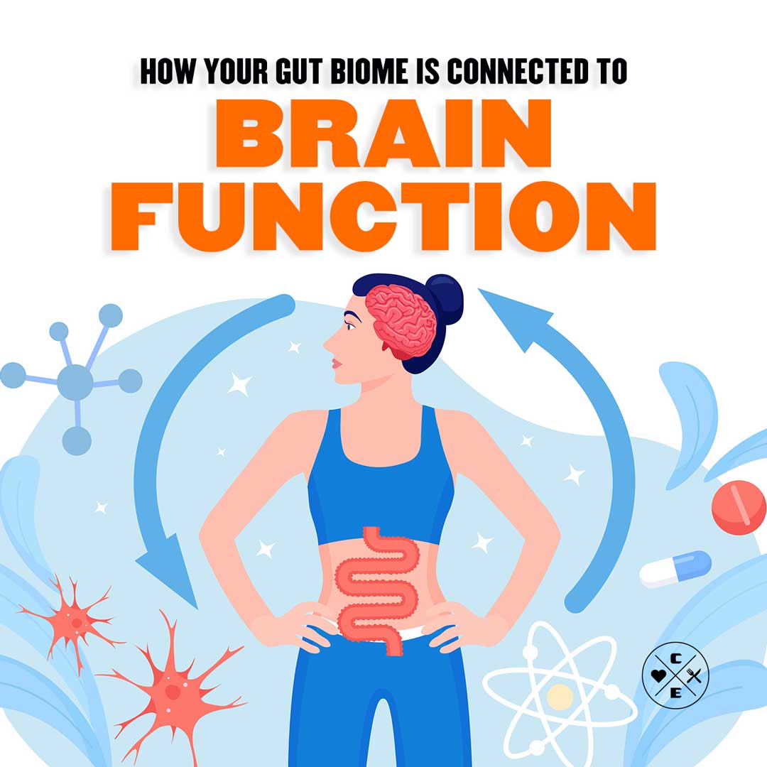 How Your Gut Biome Is Connected to Brain Function