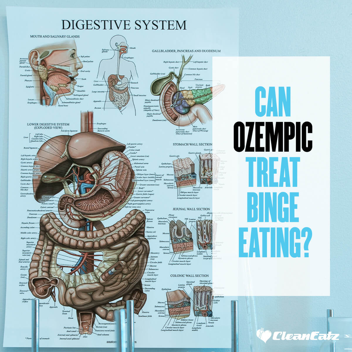 Exploring Ozempic for Binge Eating: Can Ozempic Treat Binge Eating Effectively?