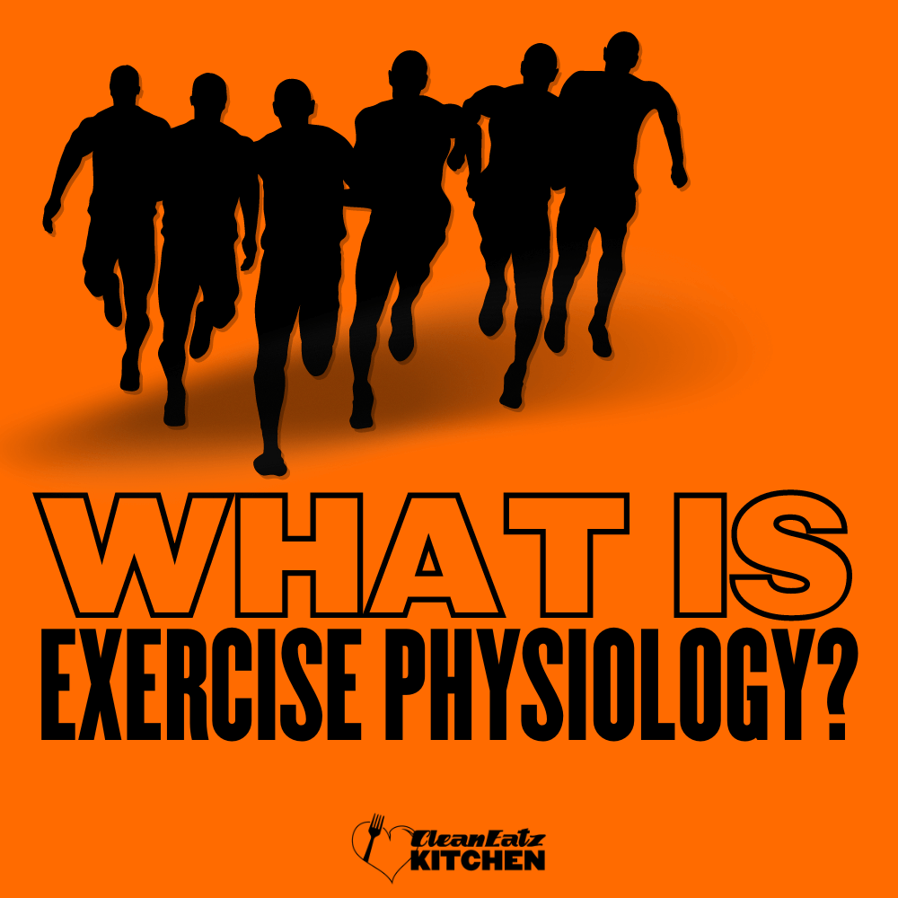 What Is Exercise Physiology? Understanding Body & Exercise