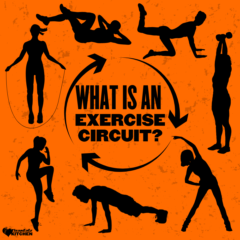 what-is-an-exercise-circuit