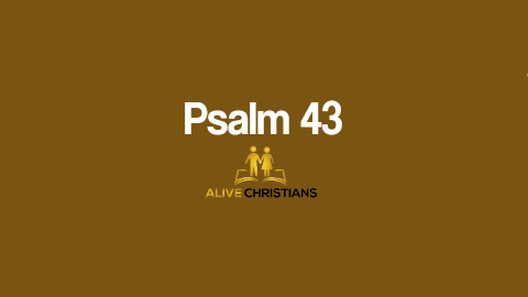 (Full) Psalm 43 KJV - Scripture Of The Day