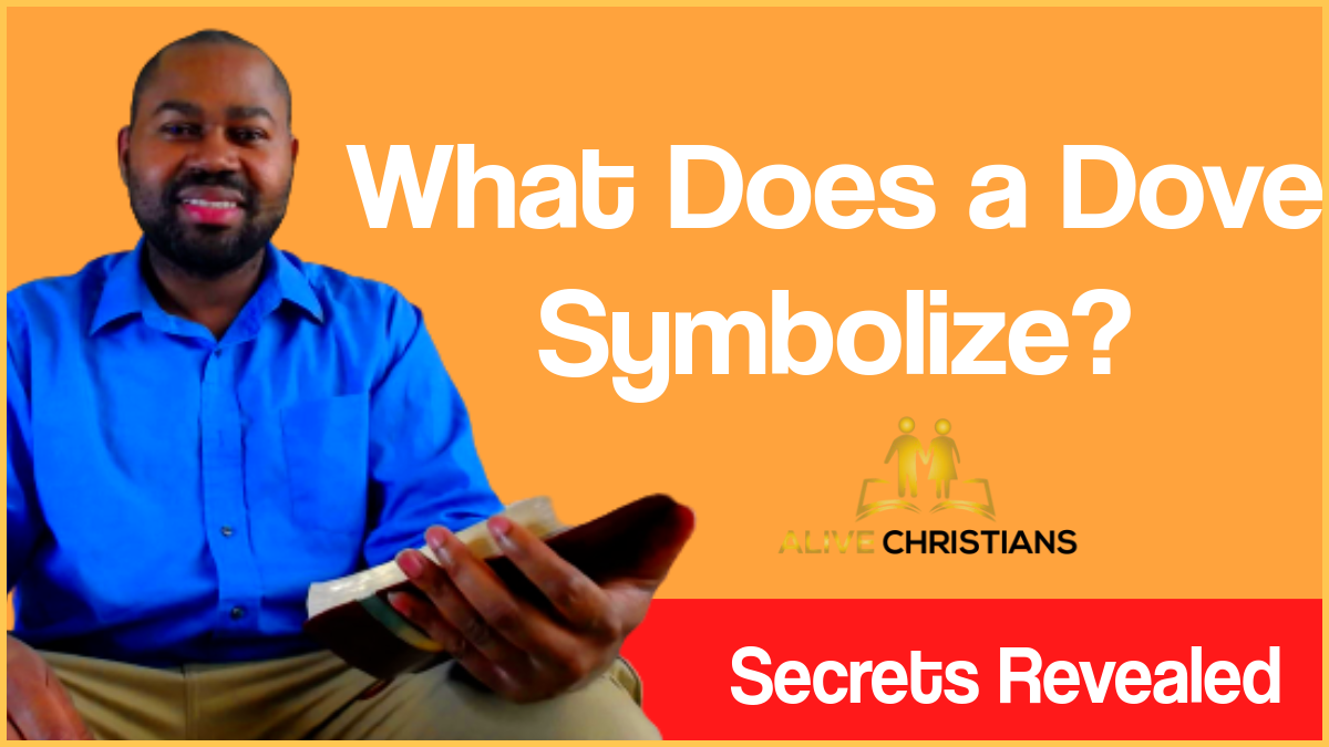 What Does A Dove Symbolize? (Secrets Revealed)