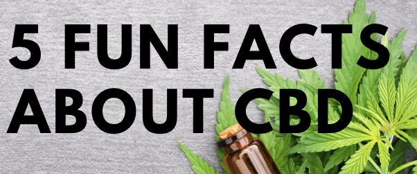 5 Fun Facts you probably didn't know about CBD