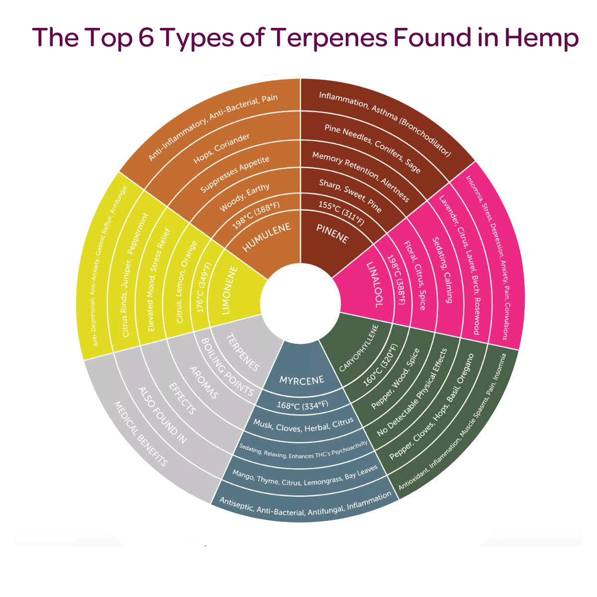 Terpenes: What Are They + Their Benefits and Effects