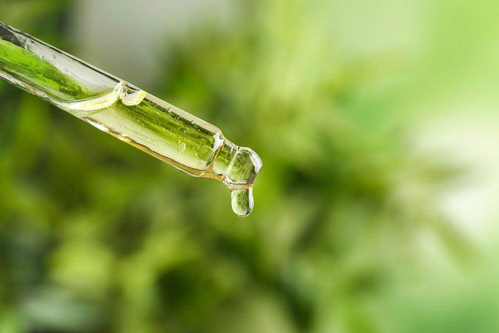 The Endocannabinoid System: What It Is and How It Works