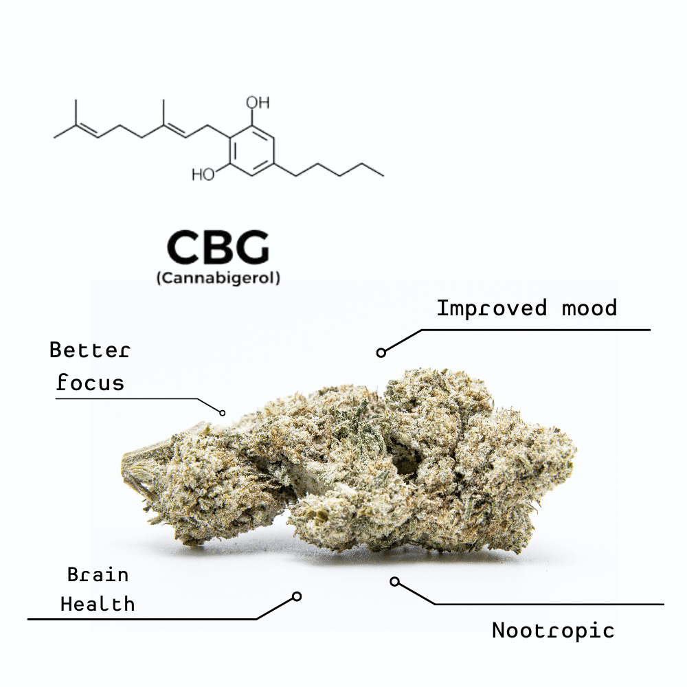 CBG: The Mood-Boosting Cannabinoid!