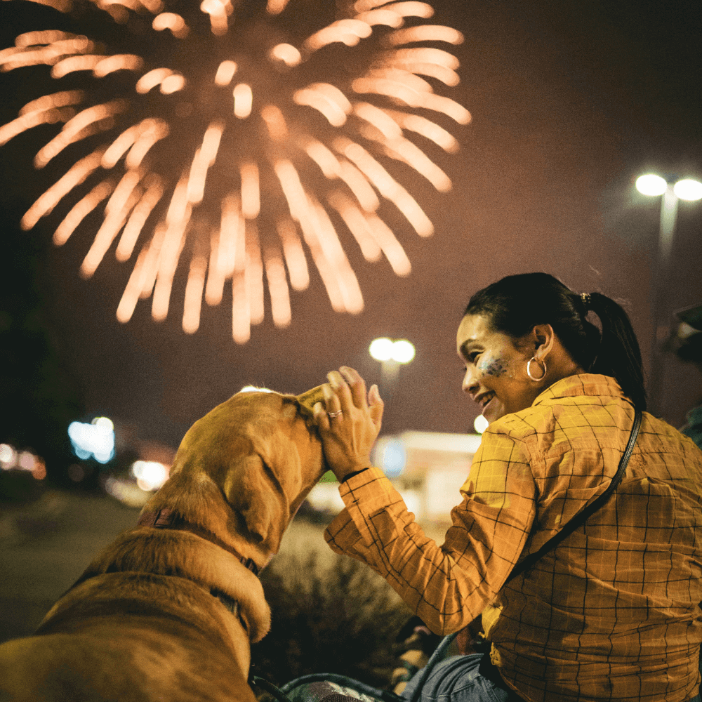 Fireworks, Dogs, and CBD Oil – A Natural Solution for Anxiety