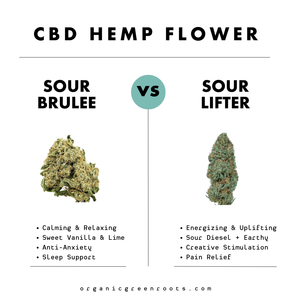 Best CBD Hemp Strains: Sour Lifter vs. Sour Brulee